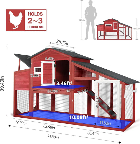 Chicken Coop and Run