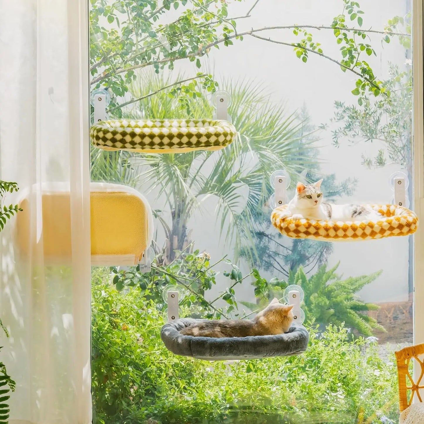 Cat Window Perch with 4 Strong Suction Cups