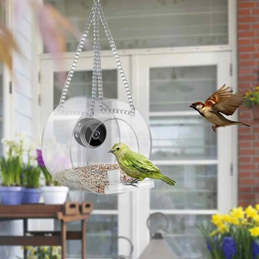 Camera Bird Feeder